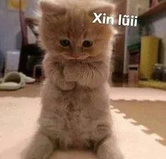 hihihihih - linhnguyen9